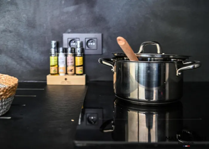 L'ourse Bleue - Familial Renove Au Pied Des Pistes Mae-8344 *